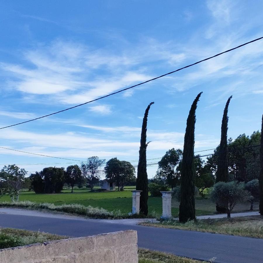 Dans Mas Provencal Casa vacanze *
